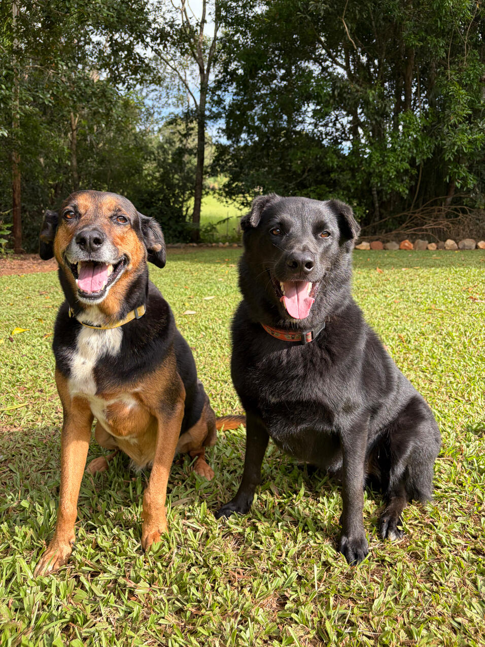 Jimmy and Basil Jimmy and Basil